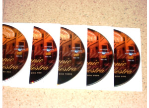 EastWest Quantum Leap Symphonic Orchestra Gold Pro XP Edition (4918)