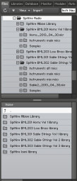 Spitfire Audio BML Spitfire Audio BML