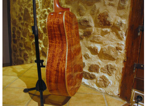 Cort Earth LE2 HK (60631)