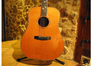 Cort Earth LE2 HK (20357)