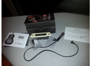 L.R. Baggs M1 Active (8542)