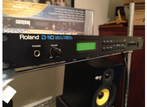 Roland D-110 (92670)