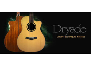Elypse Guitars Dryade B7CEW - Natural (56698)