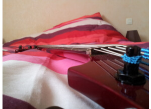 Vigier Passion 5 Strings (7564)