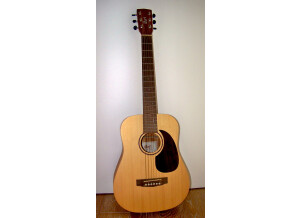 Cort Earth-Mini - Open Pore