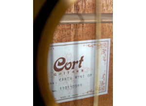 Cort Earth-Mini - Open Pore