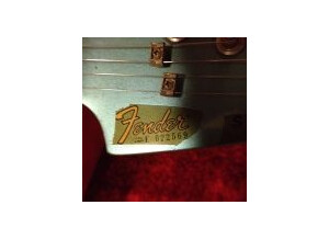 Fender The &quot;STRAT&quot; 1980