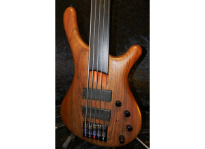 Mayones Be-5 Fretless