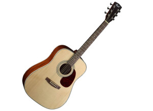 Cort Earth 70 - Natural