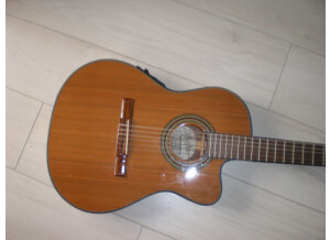 Tanglewood TW100-CL-ST