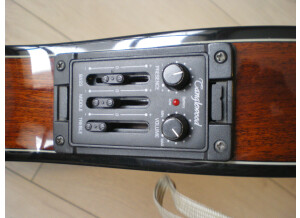 Tanglewood TW100-CL-ST