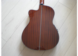 Tanglewood TW100-CL-ST