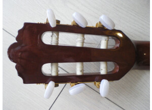 Tanglewood TW100-CL-ST