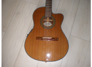Tanglewood TW100-CL-ST