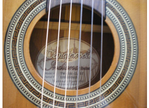 Tanglewood TW100-CL-ST