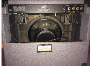 Peavey Bravo 112 (769)