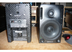 Genelec 2029A