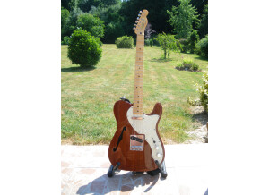 Squier Classic Vibe Telecaster Thinline - Natural Maple