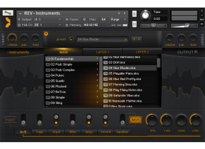 REV Instruments 02