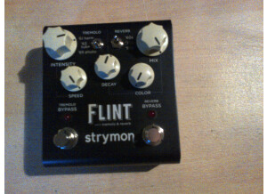 Strymon Flint (63181)