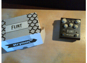 Strymon Flint (85952)