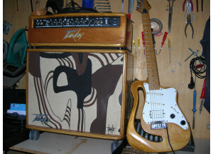 Peavey Studio Pro 112 (2625)