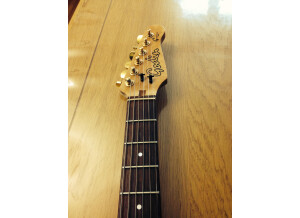 Godin G-1000 (13124)