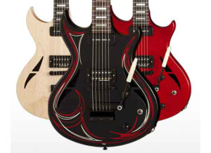 Gibson N 225 Serie (Photo Web 6)
