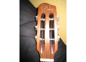 Godin Multiac Series - Steel Duet