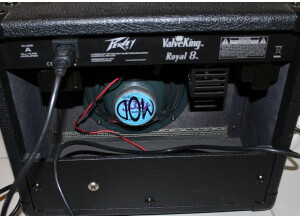 Peavey ValveKing Royal 8 (63179)