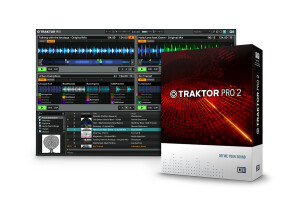 Native Instruments Traktor Pro 2 (34315)
