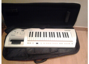 Roland Lucina AX-09 White