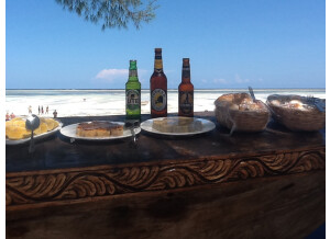 Waldorf Pulse 2 (40295)