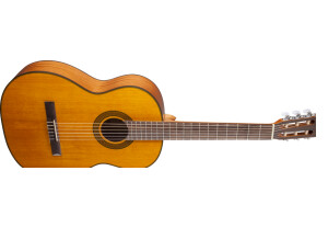 Takamine GC5