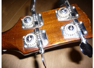 Gibson EB-2D (73490)