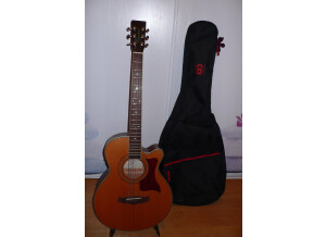 Tanglewood TW145 SC (84137)