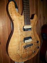 Michael Kelly Guitars Valor X