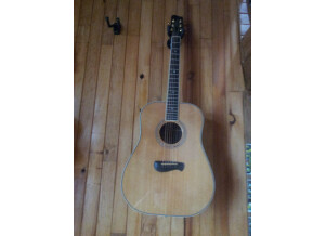Tacoma Guitars DR28 (39577)
