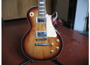 Gibson Les Paul Series - Les Paul Standard 60 (15533)