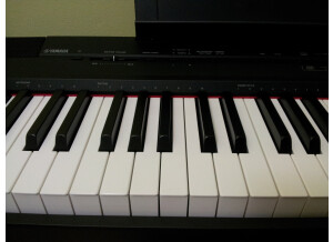 Yamaha P-105B