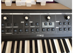 Moog Music Little Phatty Stage II (13285)