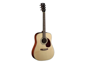 Cort Earth 100 - Natural