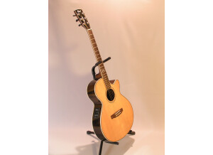 Cort SFX6R - Natural