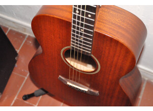 Tanglewood TW130 ASM (4236)