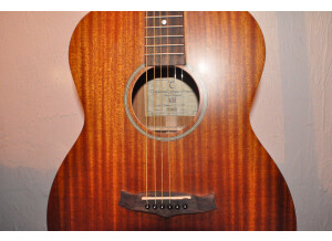 Tanglewood TW130 ASM (76534)