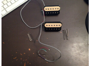 Gibson Hot Vintage Matched Pickup Set (Classic 57 & Classic 57 Plus) (19527)