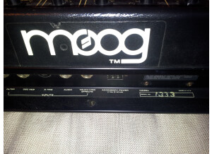 Moog Music MultiMoog (71)