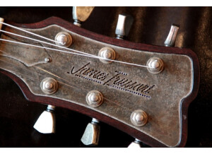 James Trussart Steeldeville Holey Back Rusty