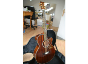 Tanglewood TW47 E (94667)