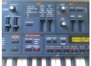 Roland JP-8000 (49419)